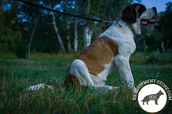 Moscow-Watchdog white leather collar of lightweight material with spikes for walking
