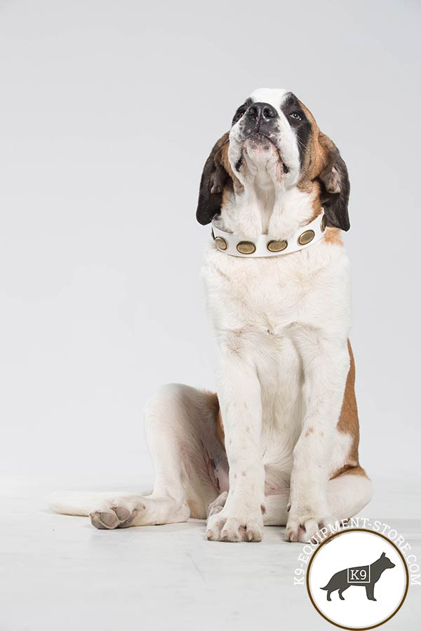 Moscow Watchdog white leather collar painted with traditional buckle for improved control
