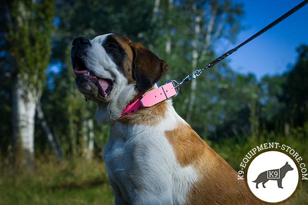 Moscow-Watchdog pink leather collar with duly riveted spikes for basic training