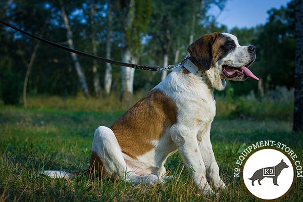 Moscow-Watchdog white leather collar of classic design with traditional buckle for daily walks