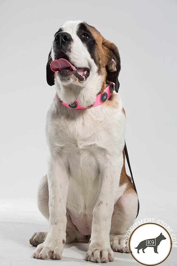 Moscow Watchdog pink leather collar with non-corrosive studs for walking
