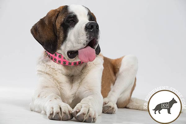 Moscow-Watchdog pink leather collar of classic design with studs for walking
