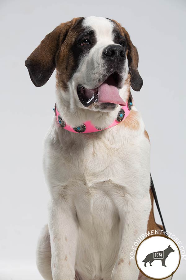 Moscow Watchdog pink leather collar with rust-resistant fittings for basic training