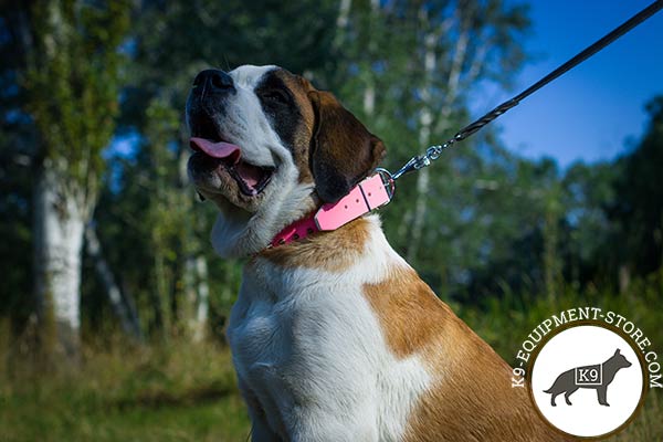 Moscow-Watchdog pink leather collar with corrosion resistant fittings for quality control