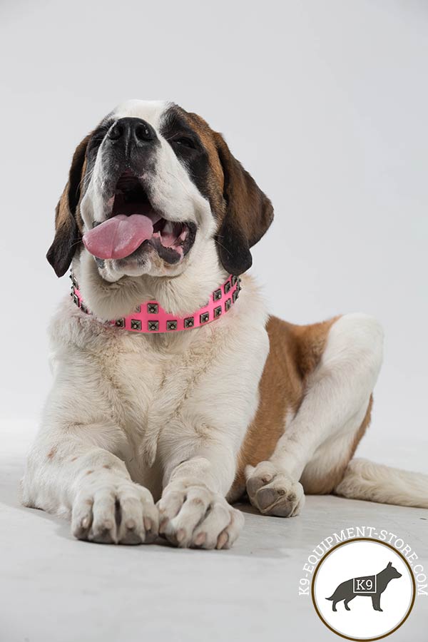 Moscow-Watchdog pink leather collar with rust-free studs for quality control