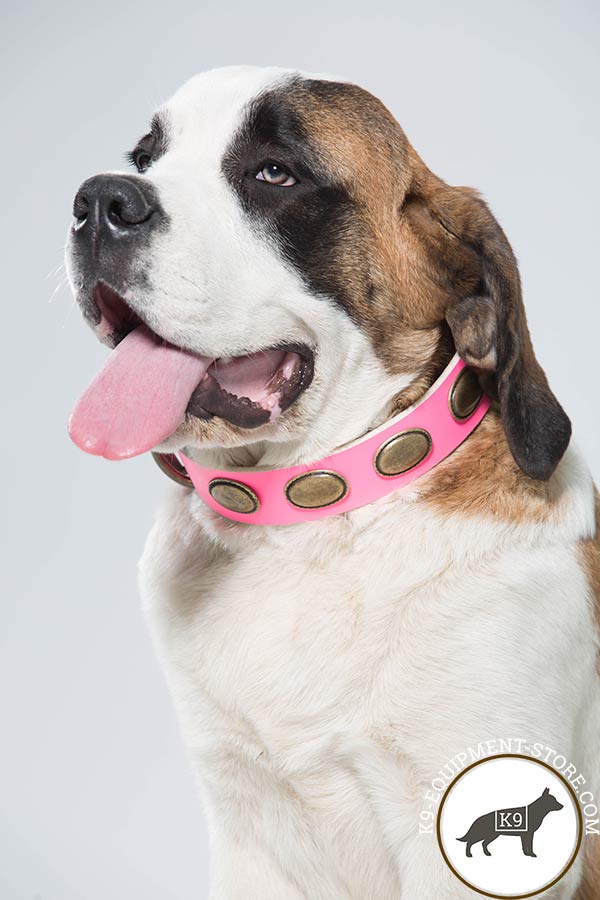 Moscow Watchdog pink leather collar with rust-proof fittings for quality control