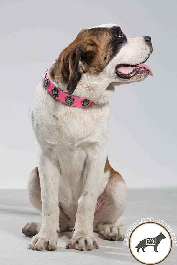 Moscow Watchdog pink leather collar of classic design with studs for quality control