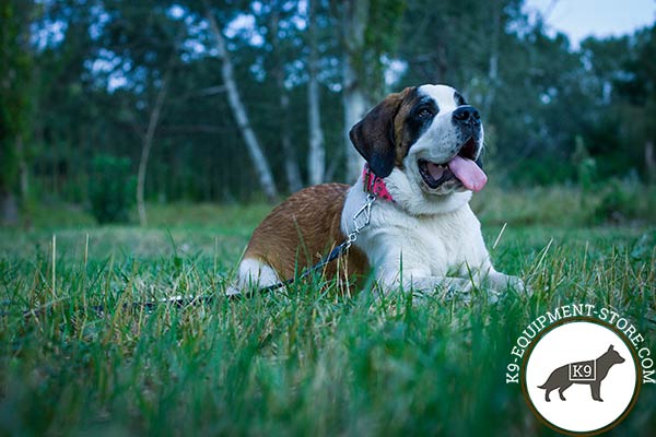 Moscow-Watchdog pink leather collar with rust-proof fittings for improved control