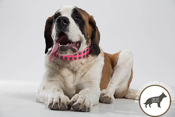 Moscow-Watchdog pink leather collar with rust-resistant studs for any activity