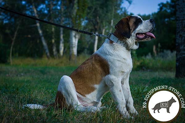 Moscow-Watchdog white leather collar with rust-resistant fittings for professional use