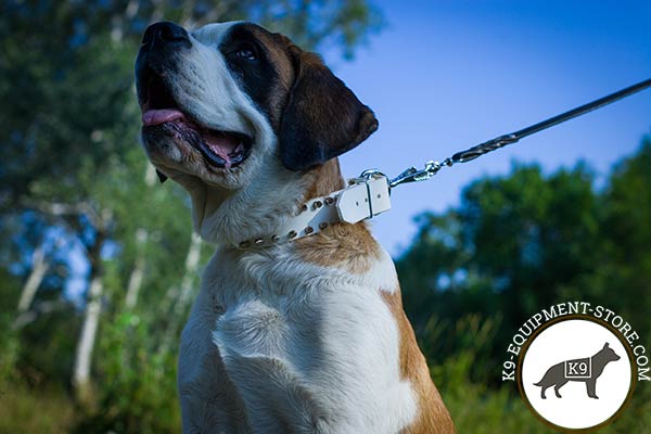 Moscow-Watchdog white leather collar with duly riveted spikes for walking in style