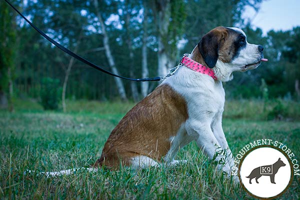Moscow-Watchdog pink leather collar painted with spikes for utmost comfort
