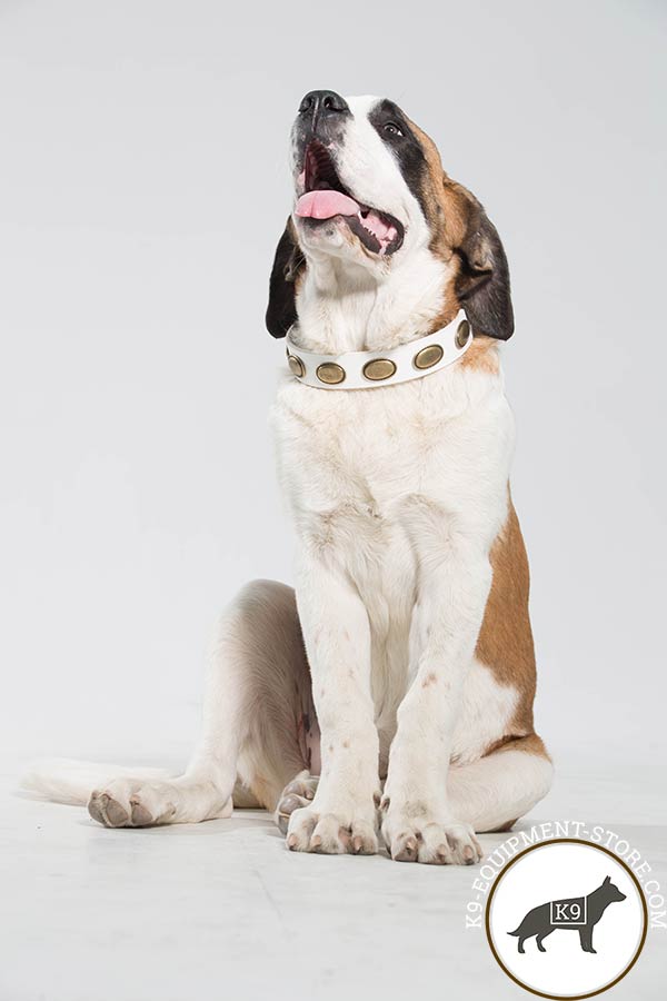 Moscow Watchdog white leather collar with corrosion resistant fittings for basic training