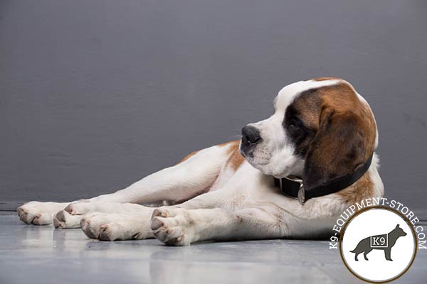 Moscow Watchdog nylon-collar of classic design with traditional buckle for any activity