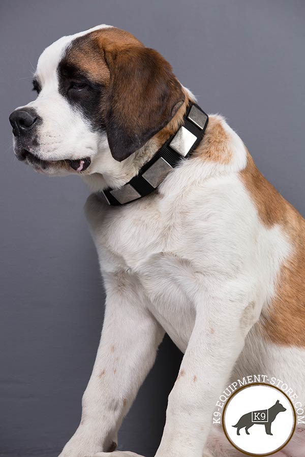 Moscow Watchdog nylon-collar with rust-resistant hardware for daily activity