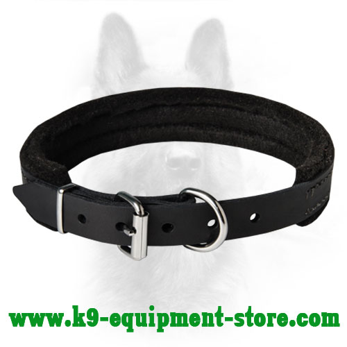 Narrow Leather Dog Collar for K9 with Felt Padding