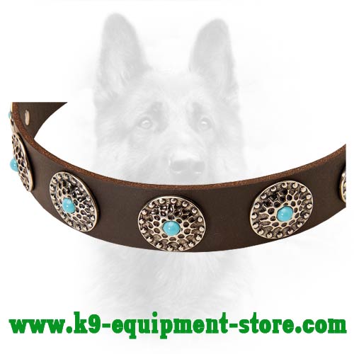 Nickel Circkles and Blue Stones Decorate K9 Leather Collar