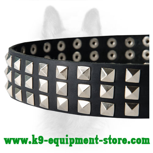 Nickel Pyramids Hand Set on Canine Leather Collar