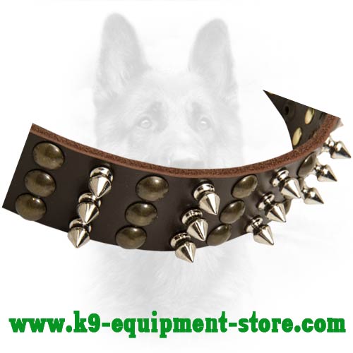 Nickel Spikes and Half Ball Studs Riveted to Police Dog Collar