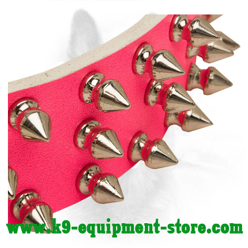 Nickel Spikes on Safe Walking Pink Leather Collar 