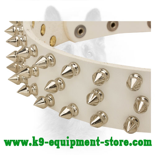 Nickel Spikes on Walking in Style White Leather Collar 