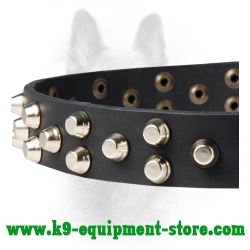 Nickel Studs Riveted to Leather K9 Breed Collar