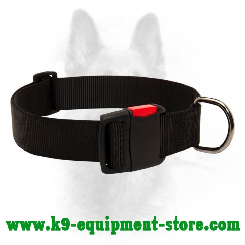 Nylon Dog Collar for K9 Walking