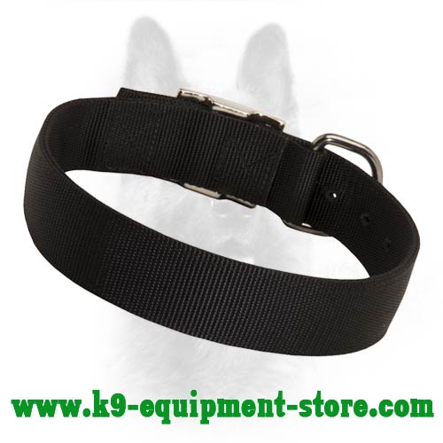 Nylon Dog Collar for Canine Walking and Training