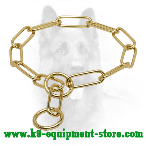 Canine Brass Choke Collar with Large Links