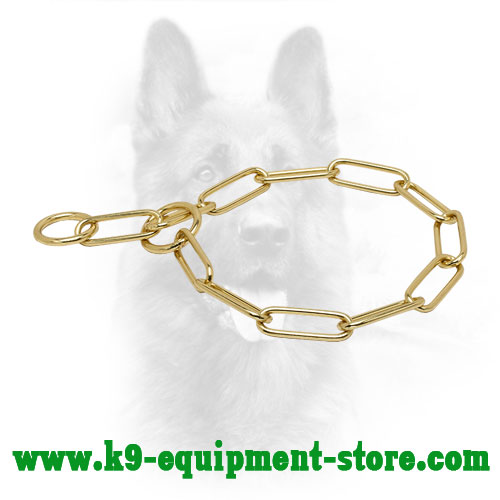 Canine Brass Choke Collar for Training