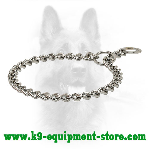 Canine Chrome Plated Choke Chain Collar for Training