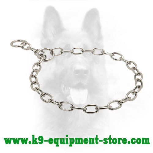 Canine Chrome Plated Choke Collar for Training