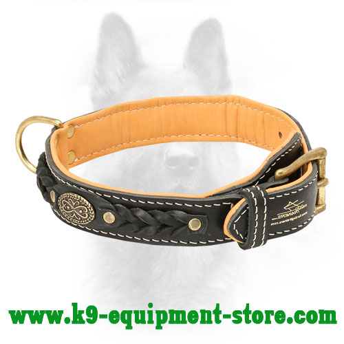 2 Ply Leather Collar with Support Material 