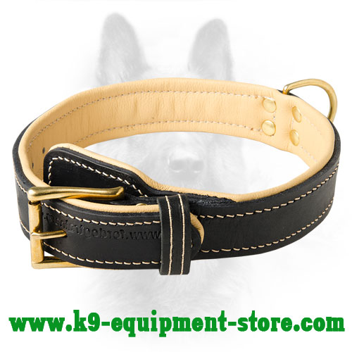 2 Ply Leather Collar with Soft Inside Padding 