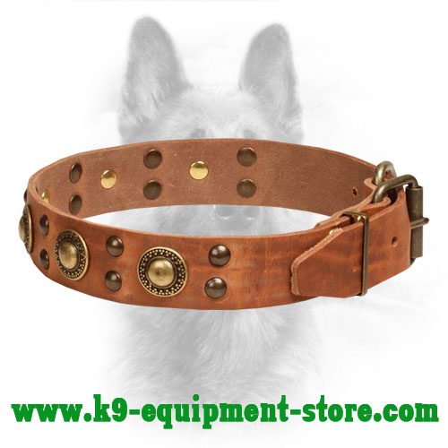 Leather Dog Collar Police Buckle