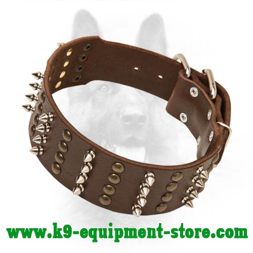 Daily Walking Leather Collar for Canine with Rust-proof Decoration
