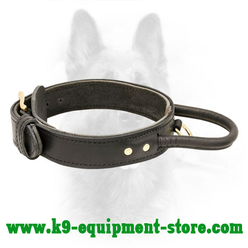 Leather Dog Collar for K9 Protection Training