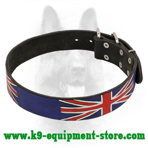 Leather Canine Collar with Water-proof Painting