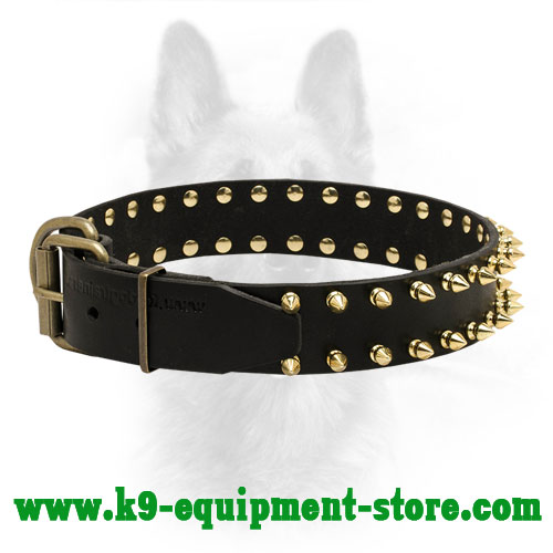 Leather Canine  Collar with Riveted Brass Spikes