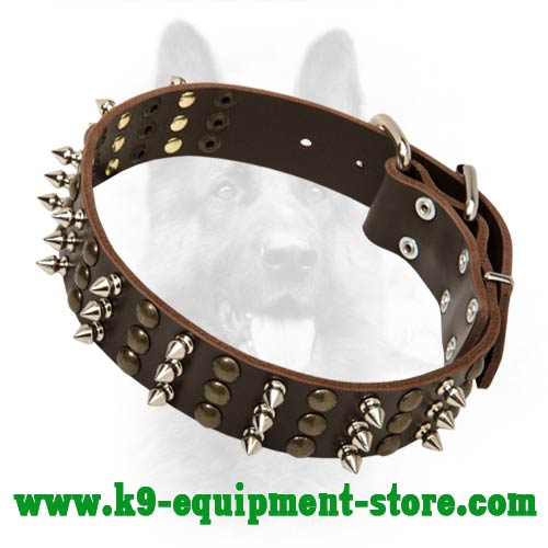 Buy Leather Police Dog Collar, Spikes, Studs