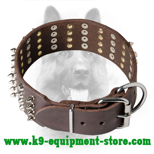 Canine Leather Collar with Steel Nickel Plated Fittings