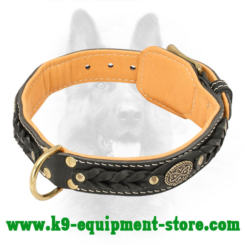 K9 Leather Collar with Brass Brooch and D-ring