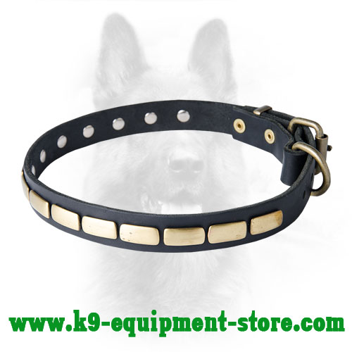 Canine Leather Collar with Rustproof Fittings