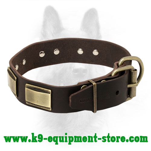 Leather Collar for Canine with Adjustable Brass Buckle