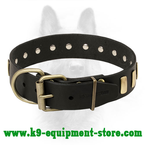 Canine Leather Collar with Easily Adjustble Buckle and D-ring 