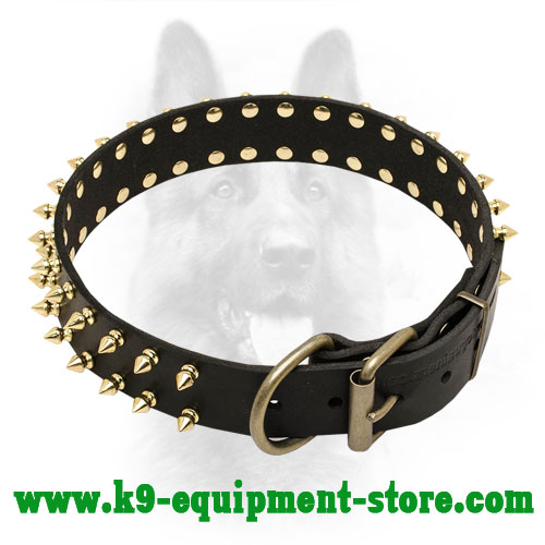 Canine Leather Collar with Brass Hardware
