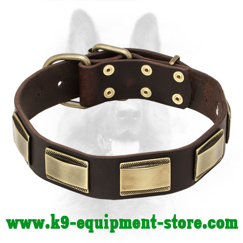 Leather Police Dog Collar with Massive Brass Plates