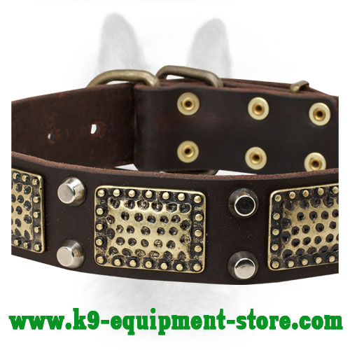 Leather Canine Collar with Nickel Cones and Brass Plates