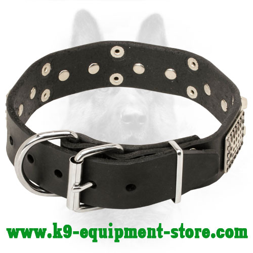 Leather Canine Collar with Steel Nickel Plated Rivets