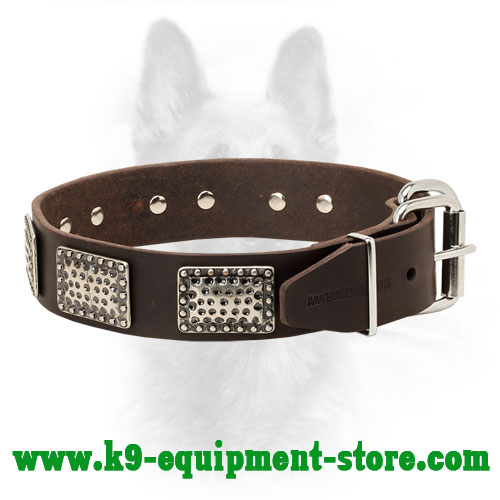 Adjustable K9 Leather Collar with Nickel Buckle and D-ring